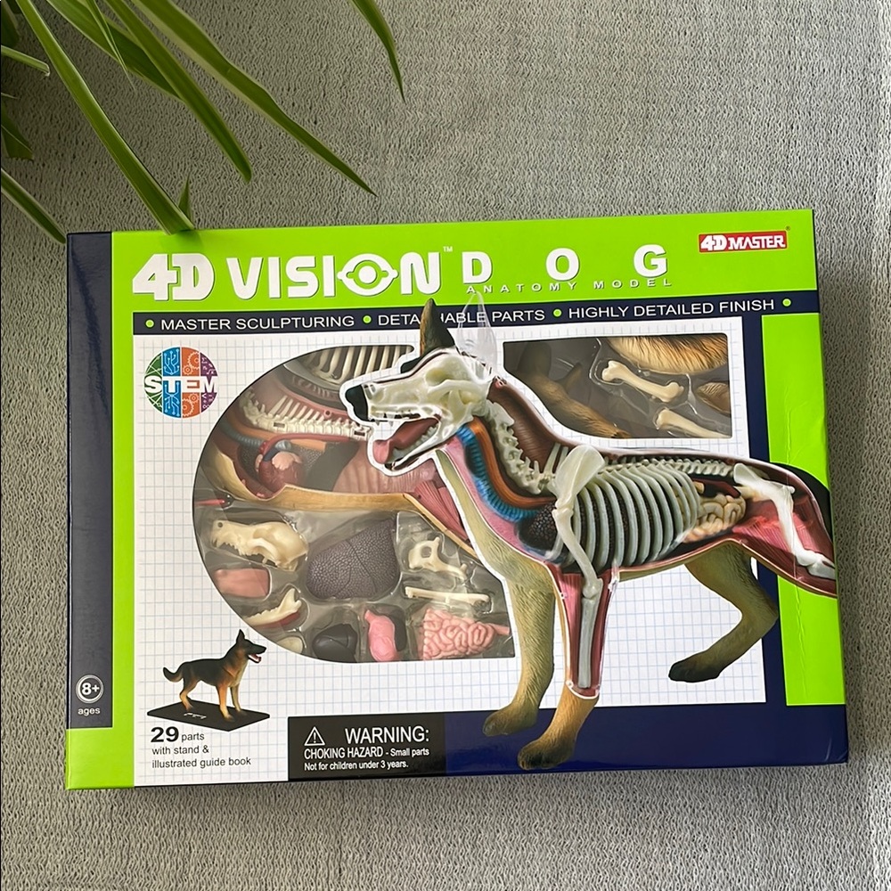 4D Master Dog Anatomy Model